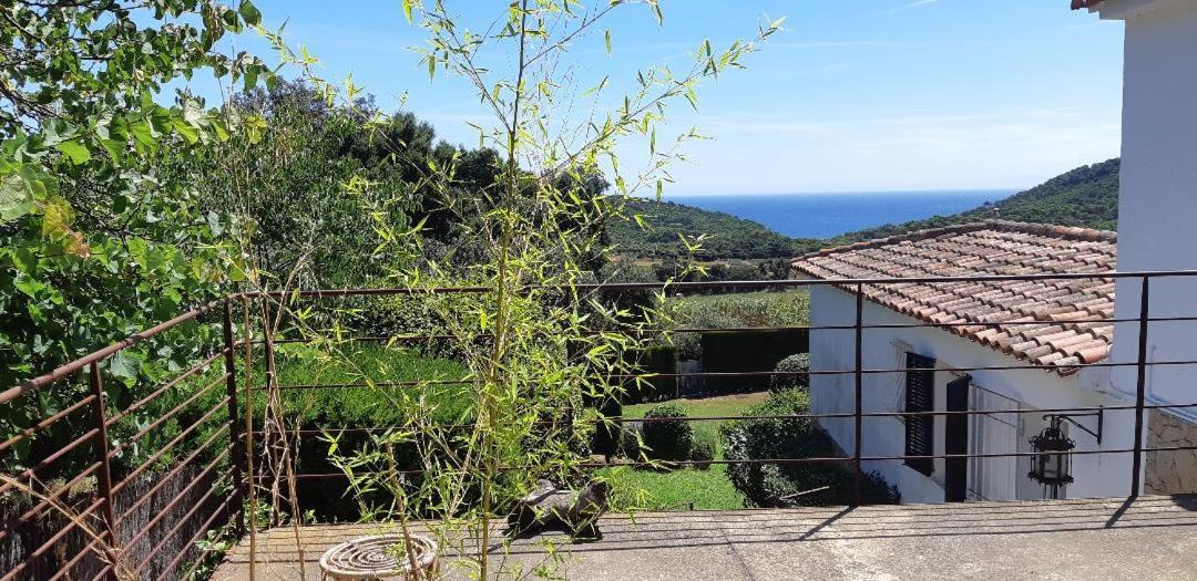 Estudio Vistas Al Mar Tamariu Y Bosques De Begur Exterior photo